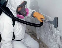 Best Black Mold Removal  in Blue Mountain, MS